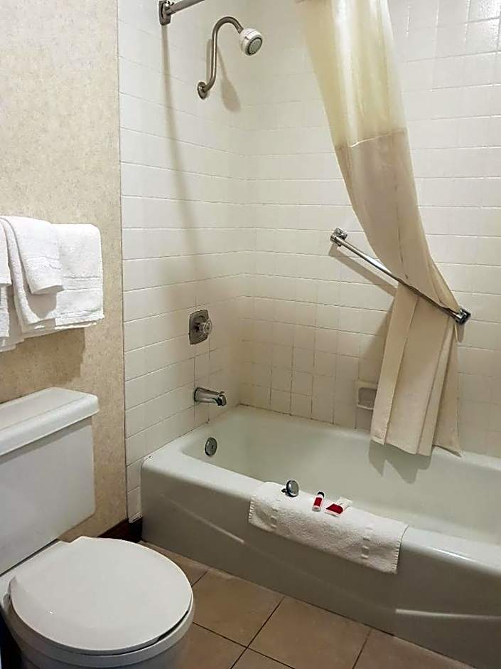 Travelodge by Wyndham Costa Mesa Newport Beach Hacienda