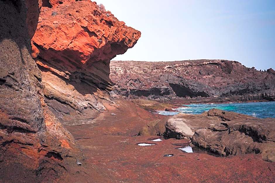 Single Fin Surf Hostel