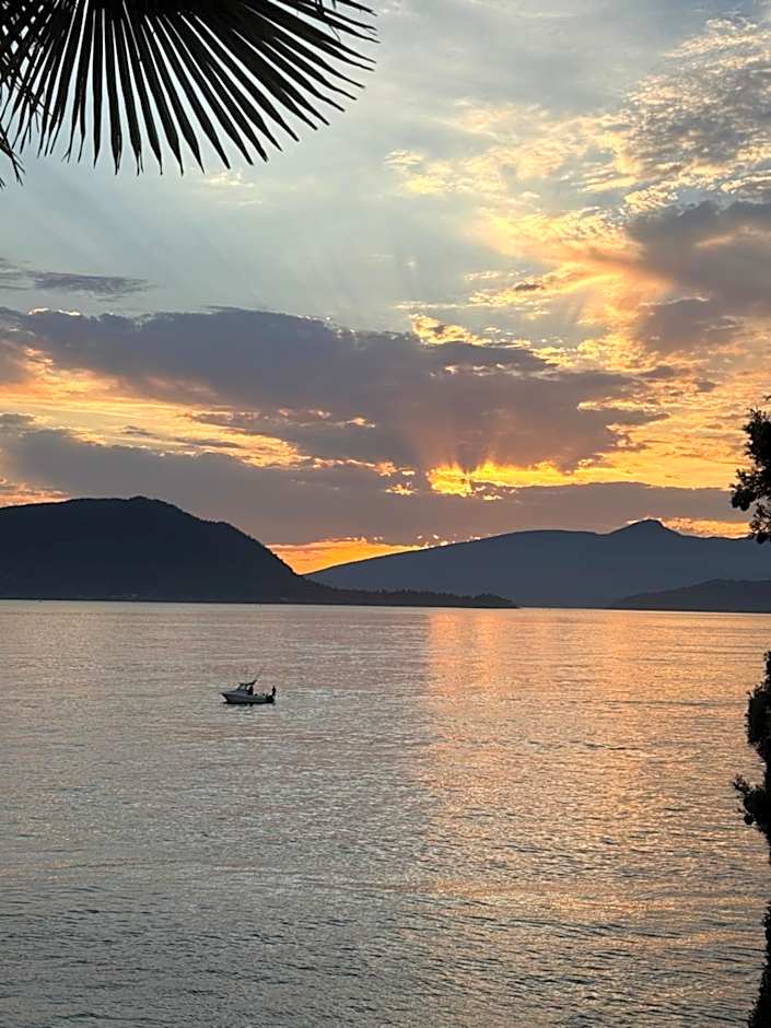 Dream House -Water Lily