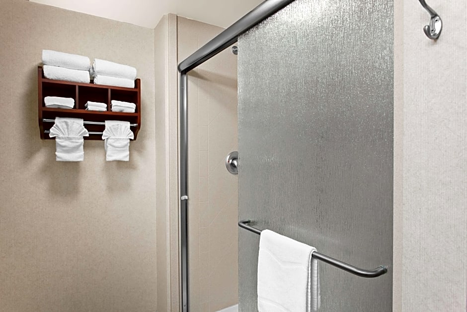 Photo 1 of 5 of 1 King Bed Suite