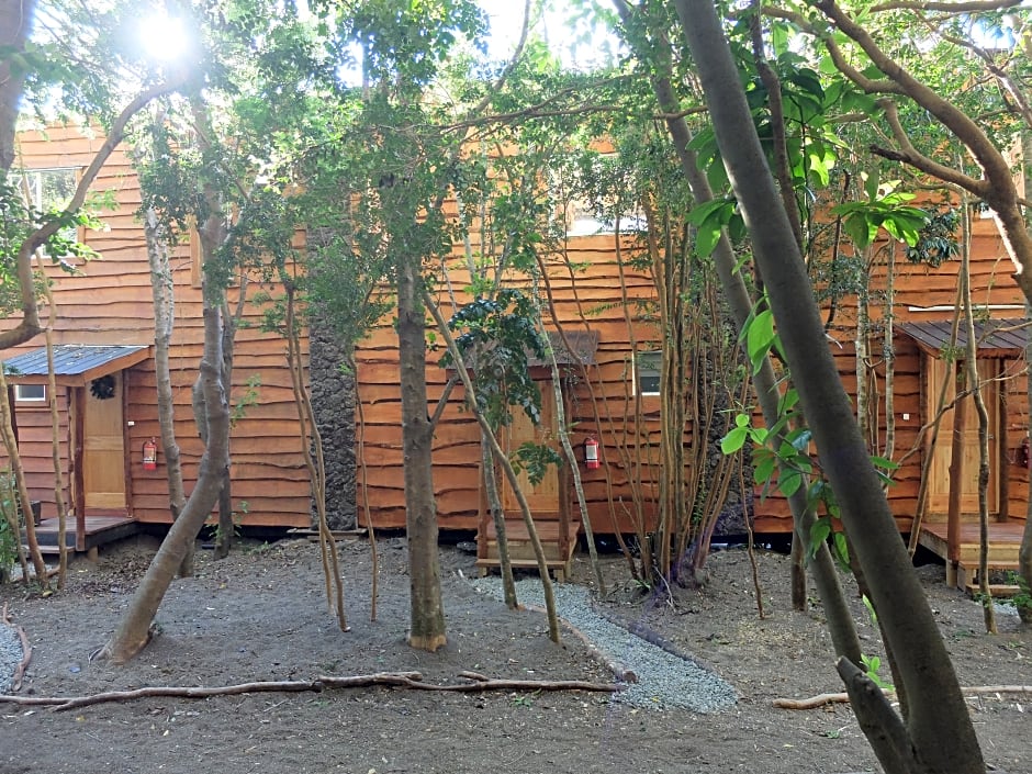 Cabañas Ensenada Bosque Nativo
