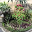 Pancer House