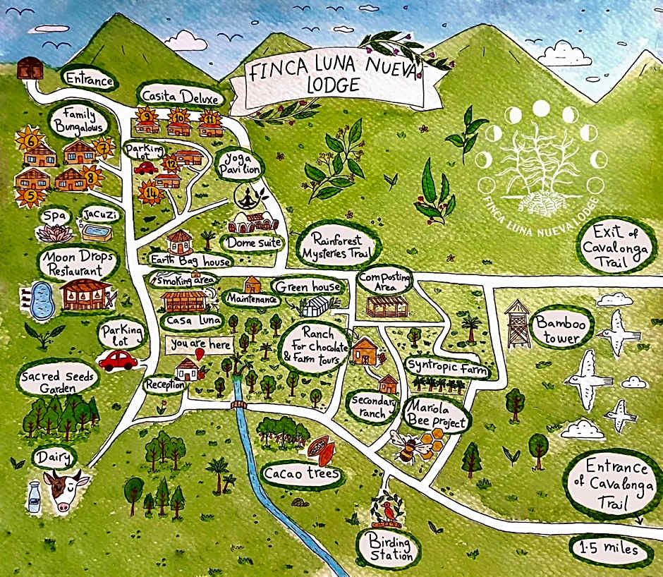 Finca Luna Nueva Lodge