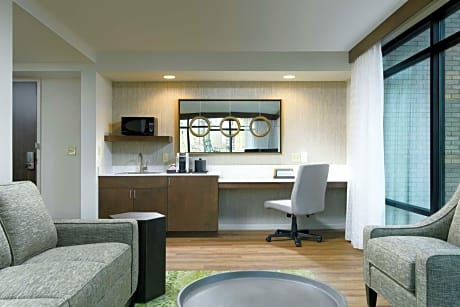 One-Bedroom King Suite