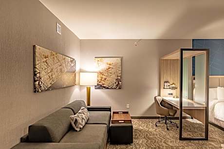 SpringHill Suites by Marriott Dallas McKinney/Allen