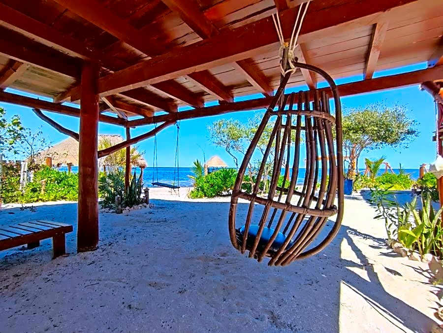 Experiencia Casa Blanca