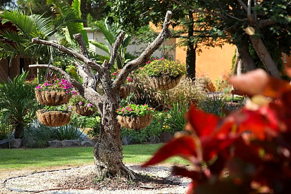 Shaar Hagolan Kibbutz Country Lodging