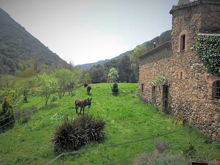 Bed and Breakfast Casanova de Sant Miquel