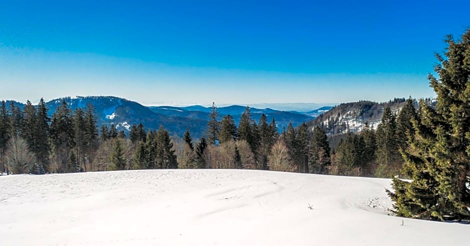 Berggasthof zur Todtnauer Hütte