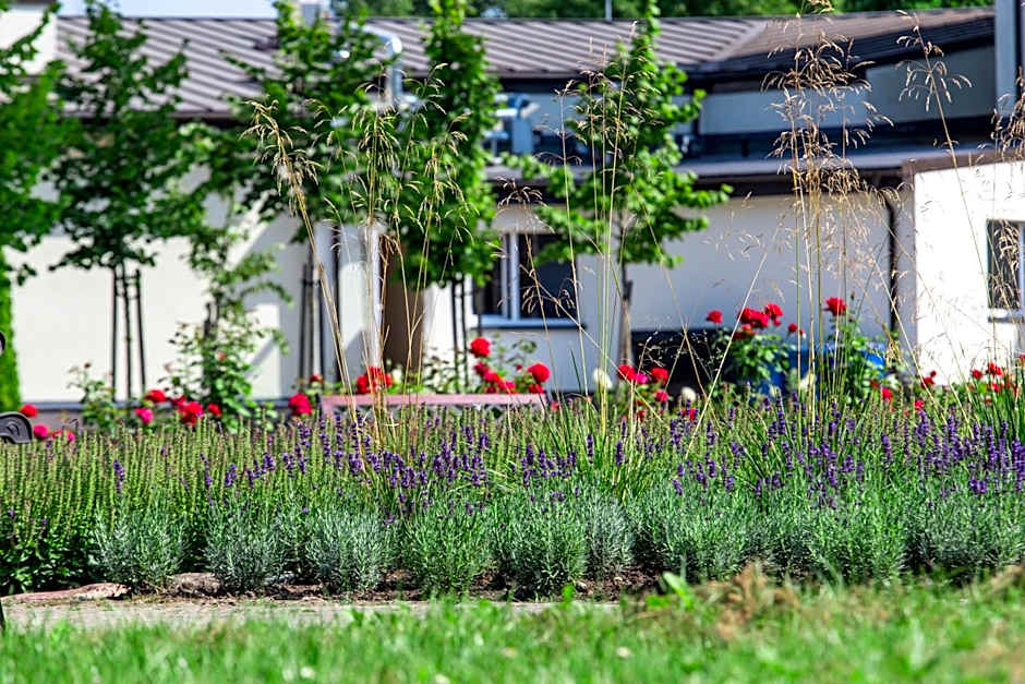 Mineral SPA Draugystė