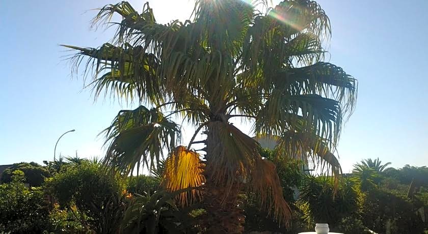 Dolphin View Guesthouse