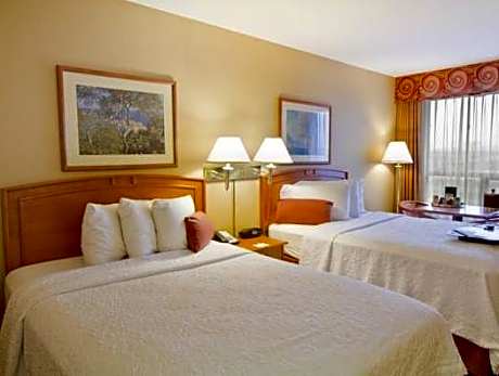 2 Double Beds