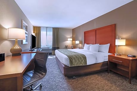 1 King Bed, Nonsmoking, Accessible
