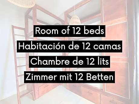 Bunk Bed in a Mixed 12-bed Dormitory Room