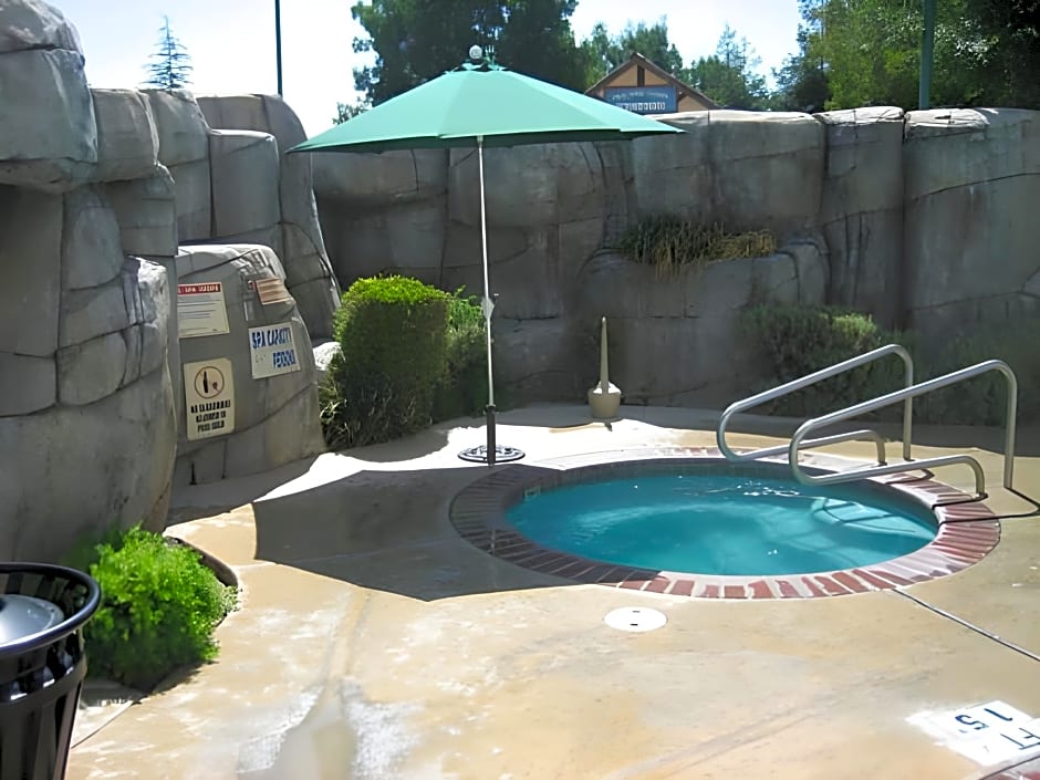 Holiday Inn Selma - Swancourt By IHG