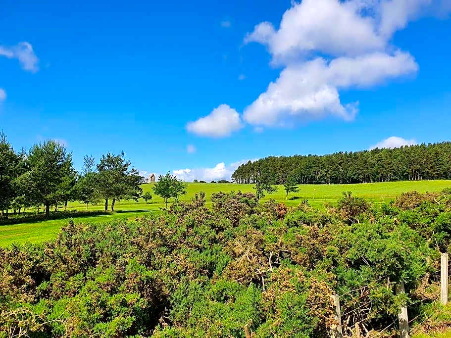 Beautiful Borders Cabin