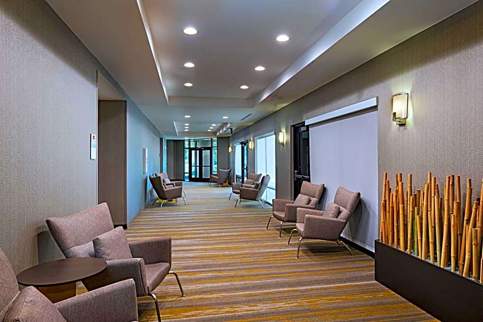 SpringHill Suites by Marriott Dallas Dfw Airport East/Las Colinas Irving