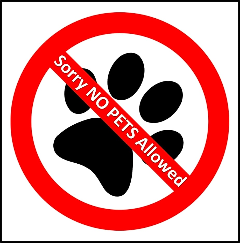 Basecamp Suites Canmore