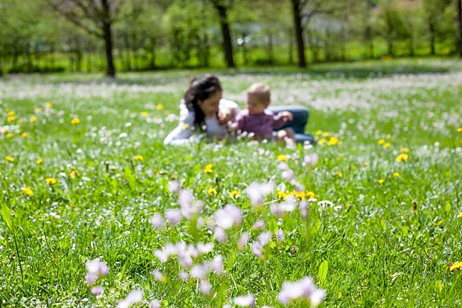 Hotel Bachmair Alpina