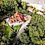 Harmont Montis- dawna Zającówka- IDEALNA lokalizacja - leśna enklawa w centrum miasta! Sauna, masaże, zabiegi spa!