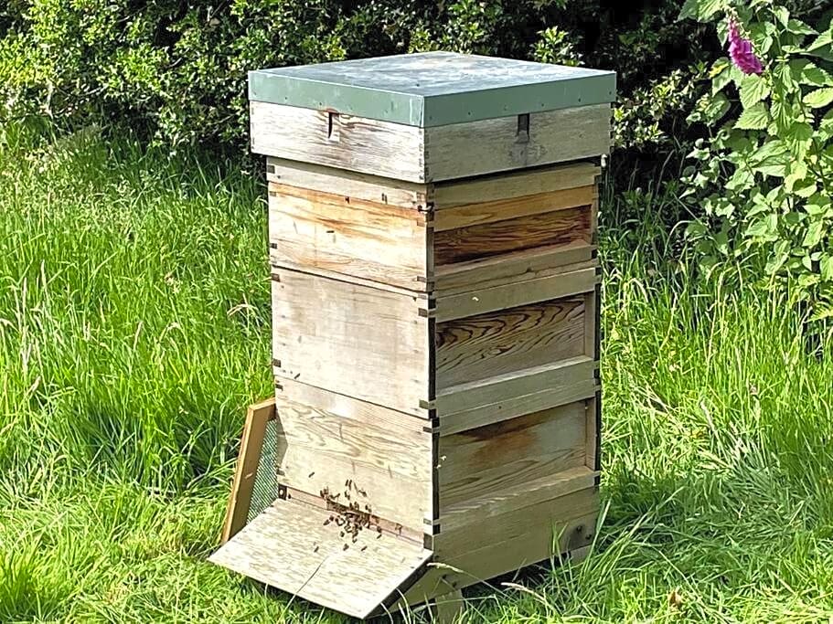 Y Felin Bed and Breakfast and Smallholding