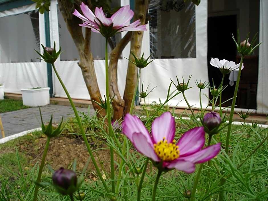 De Doornkraal Vinotel