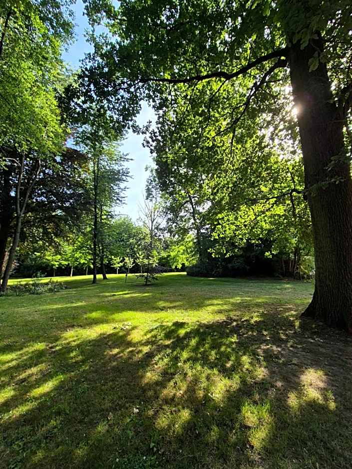 Domitys - Le Carillon d'or