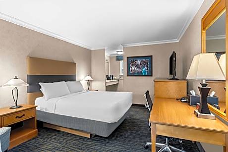 Queen Room - Disability Access Tub