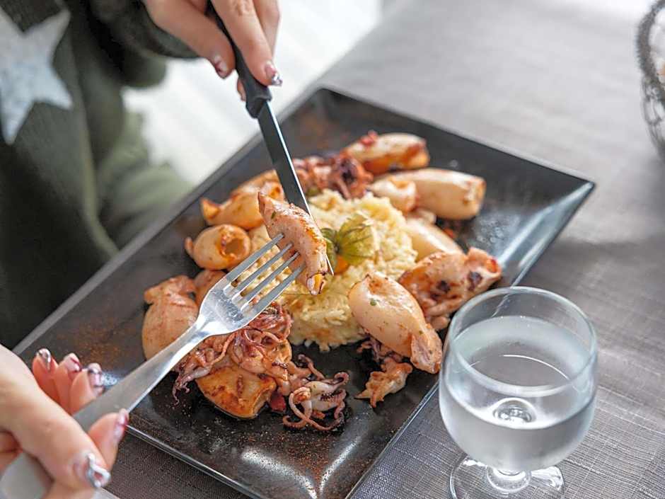 ibis styles Dax Miradour