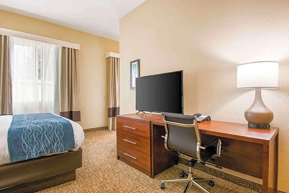 Comfort Inn & Suites Harrisburg - Hershey West