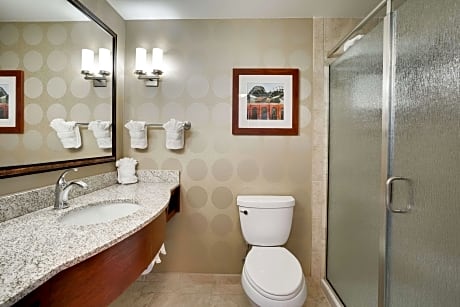 1 King Bed Junior Suite With Sofabed