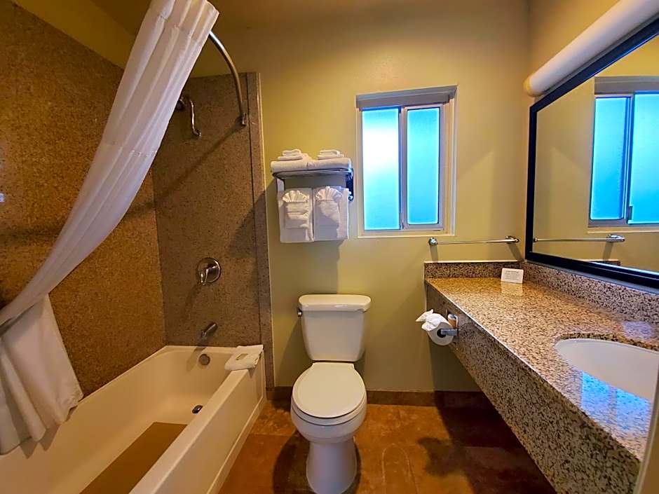 Quality Inn & Suites Anaheim At The Park