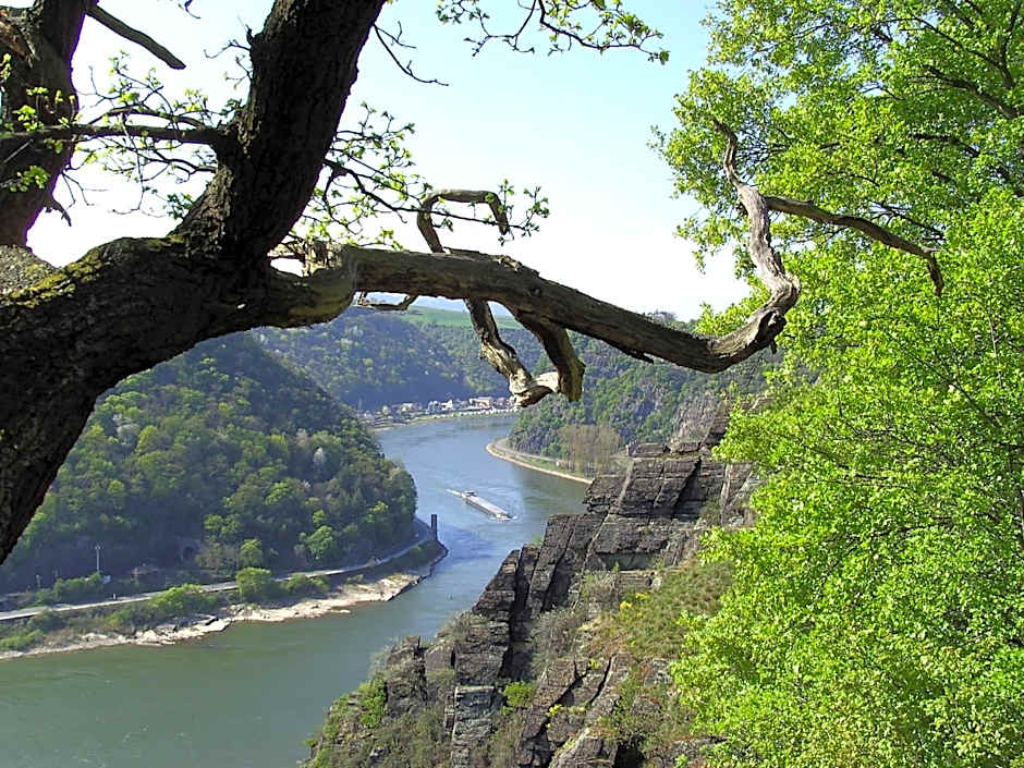 Wyndham Garden Koblenz