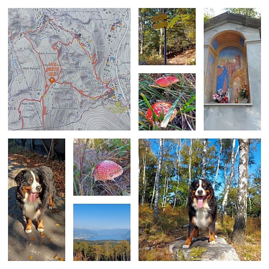 Villa Magnolia BB, Lago Maggiore (Massino Visconti, Italy)