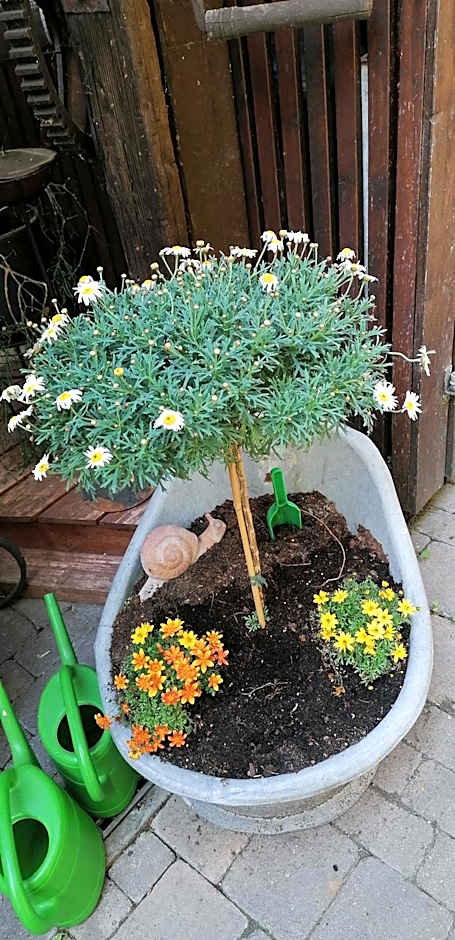 Adler Gaststube Hotel Biergarten