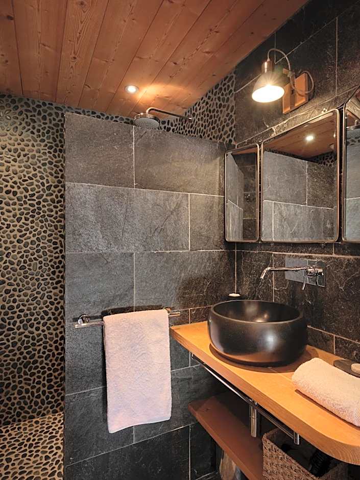 Les Rives d'Argentière