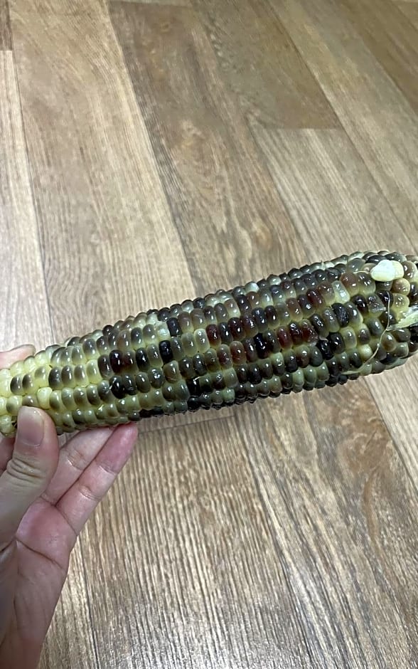 Yangyang Muhak Motel