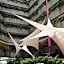 Hotel Real del Sur