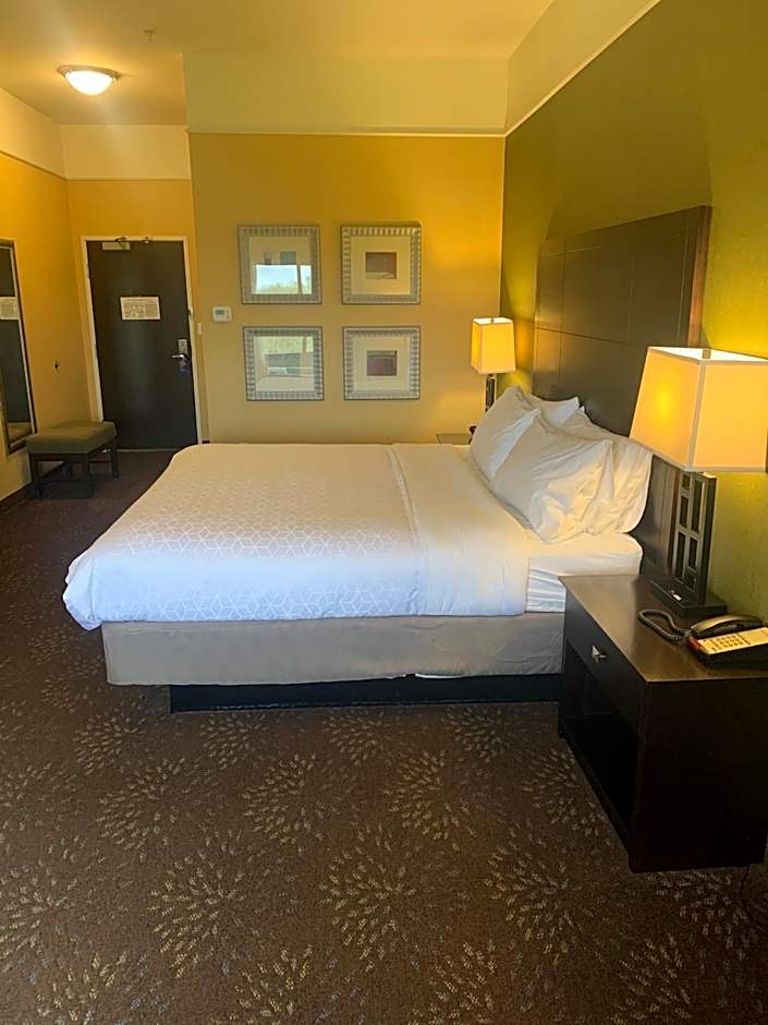 Holiday Inn Express Hotel & Suites Lansing-Dimondale By IHG