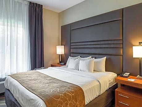 1 King Bed, Suite, Nonsmoking