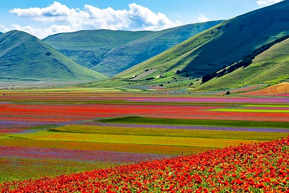 Hotel Ristorante Da Roverino