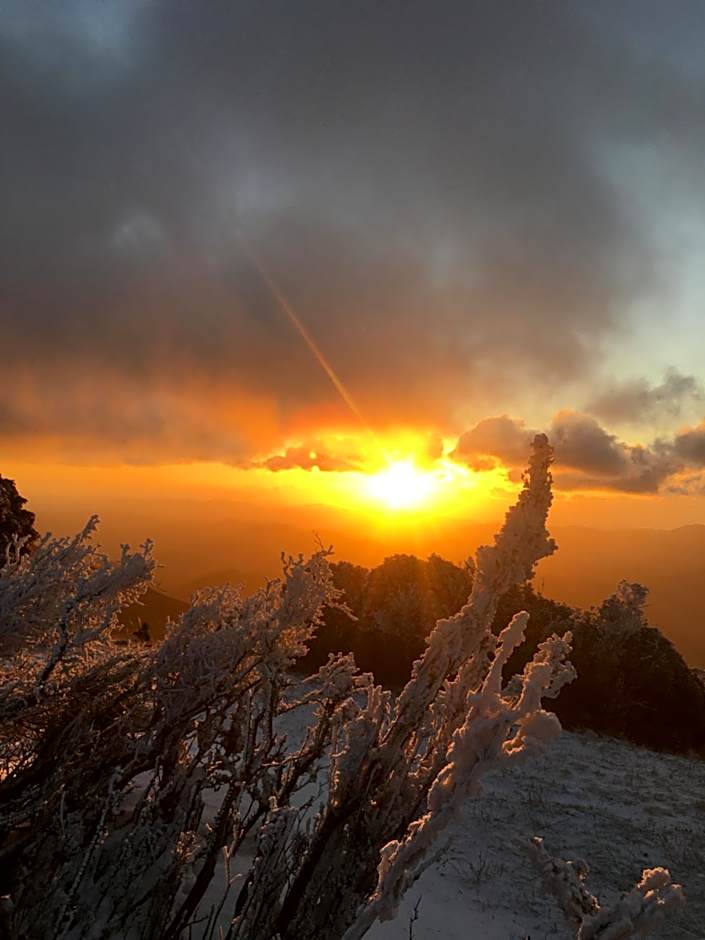 リラシャンティRelashanti