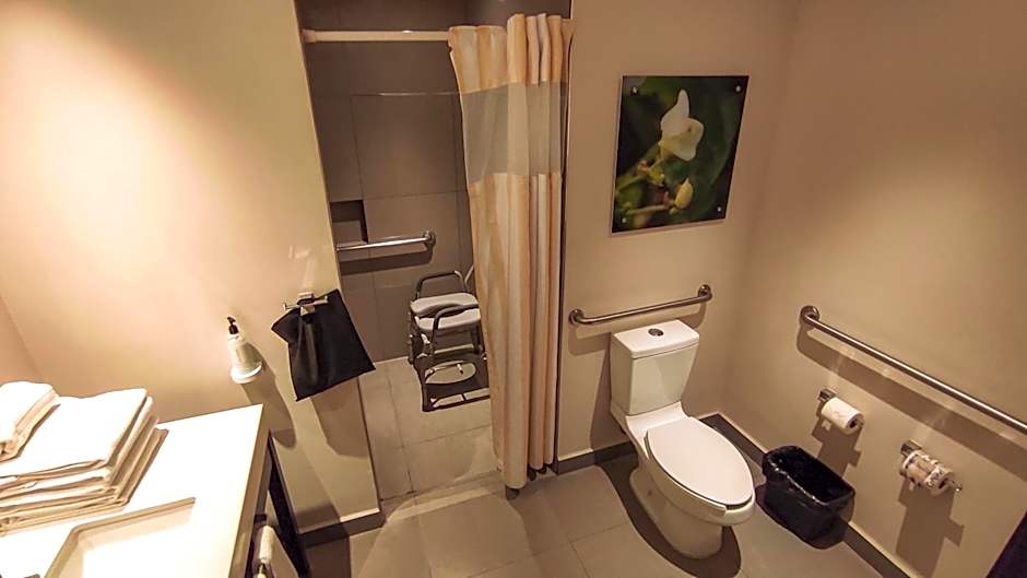 Hilton Garden Inn Puebla Angelopolis