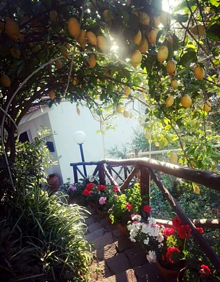La Palombara – Vico Equense, CO