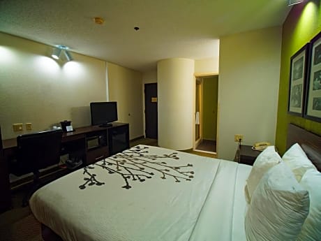 King Room - Accessible/Non-Smoking