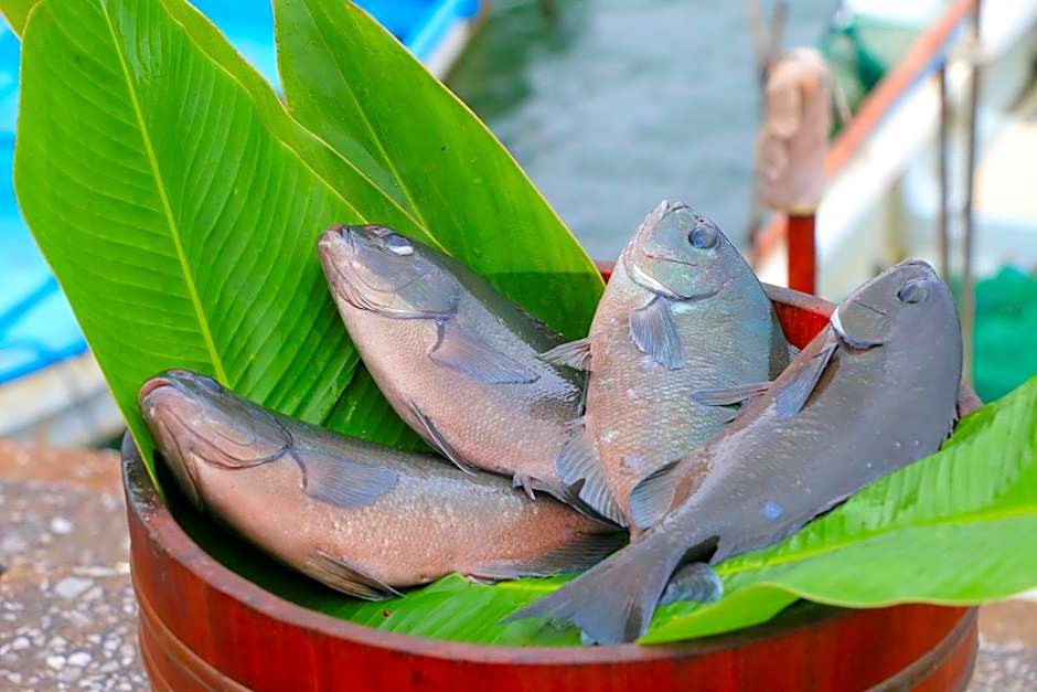 Tanegashima Minshuku Yuyu