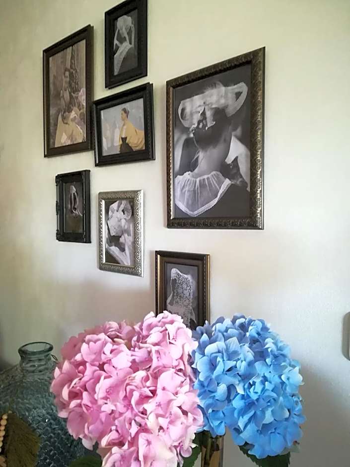 Ty Coz Breizh Chambres d'hôtes