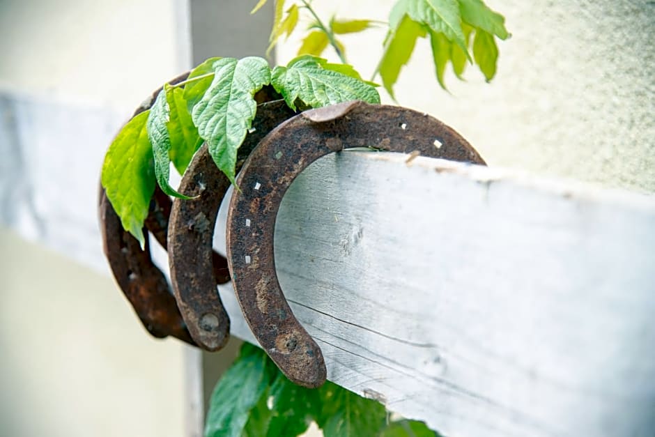 Ranchzimmer am Hippo-Campus Reit- und Therapiezentrum