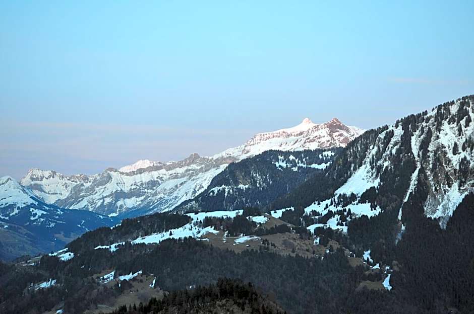 Hotel Central Résidence