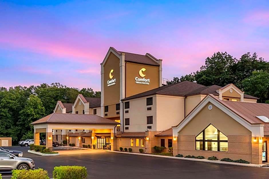 Comfort Inn & Suites Lavale